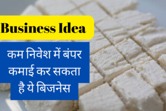 Soya Paneer Business Idea