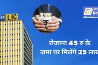 LIC Jeevan Anand Policy